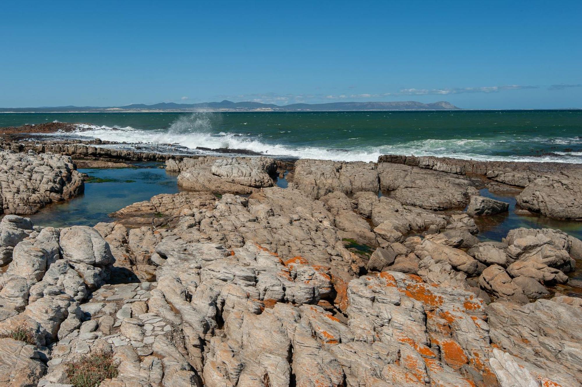 63 Whalerock Estate Lejlighed Hermanus Eksteriør billede